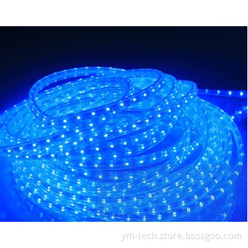 High Voltage 220V LED Strip